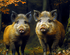 Copyright Création 2026 Thomas Blanchard et Olivier Martin Salvan