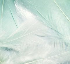 Copyright © pexels Artempodrez