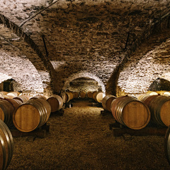 Cave séculaire
