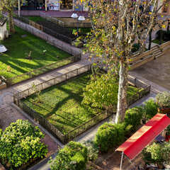 Terrasse sur place Renaudel