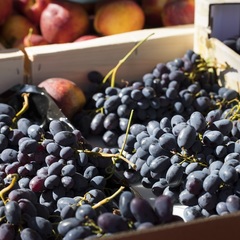 Marché de Neuville-sur-Saône