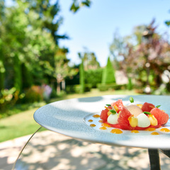 Jardin et dessert pamplemousse basilic