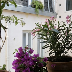 détail