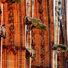 Gargouilles - Cathédrale Saint-Jean