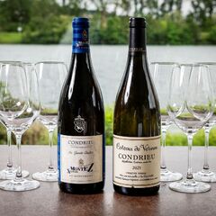 Vins