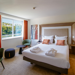 Chambre Exécutive Vue sur Saône