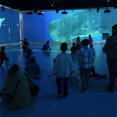 Aquarium de Lyon_La Mulatière
