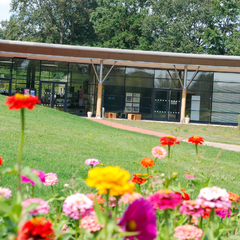 Domaine des Saveurs - Les Planons