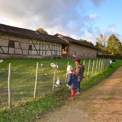 Domaine des Saveurs - Les Planons