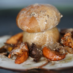 Baba aux champignons