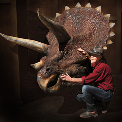 Le triceratops de Jurassic Park