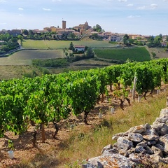 Beaujolais Oingt évasion