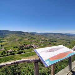 Beaujolais Brouilly panorama 1