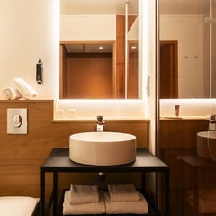 Ibis Styles Lyon Villeurbanne Parc de la Tête d’Or