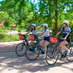 Parc de la Tête d'Or à vélo électrique