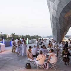 Musée des Confluences