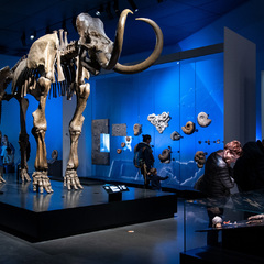 Musée des Confluences_Lyon 2ème