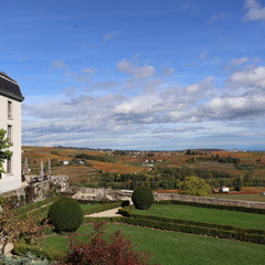 Parc à la française