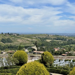 Parc à la française