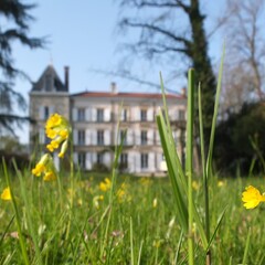La maison bienveillante