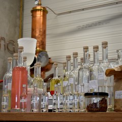 Visitez une distillerie et dégustez des spiritueux