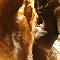 Les grottes de la Balme, situées à 40 min de Lyon - Balcons du Dauphiné - Nord-Isère
