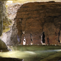Les grottes de la Balme, situées à 40 min de Lyon - Balcons du Dauphiné - Nord-Isère