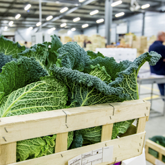 Carreau des Producteurs