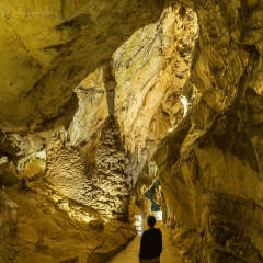 Galerie Verticale Grottes du Cerdon