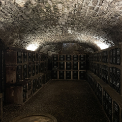 Cellar