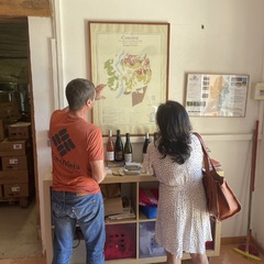 Rhône Valley wine tour