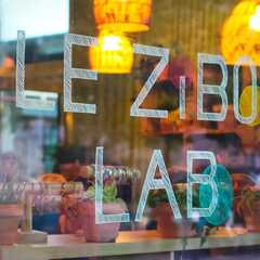 Zibou Lab_Lyon 2ème