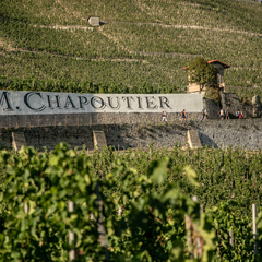Ecole M. CHAPOUTIER