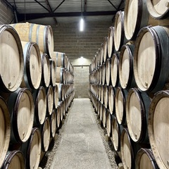 Beaujolais Wine Experiences_Lyon 4ème