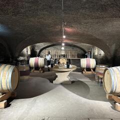 Beaujolais Wine Experiences_Lyon 4ème