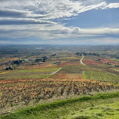Visite privée du Beaujolais - All inclusive_Lyon 4ème