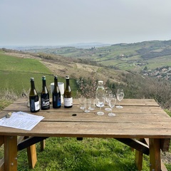 Visite privée du Beaujolais - All inclusive_Lyon 4ème