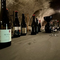 Visite privée du Beaujolais - All inclusive_Lyon 4ème