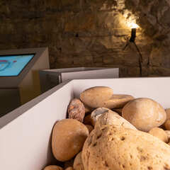Le Petit Musée du Vin_Lyon 7ème