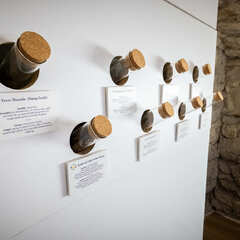 Le Petit Musée du Vin_Lyon 7ème