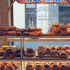 Maison Terrasson_Lyon 2ème