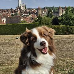 Rocca_Lyon 2ème