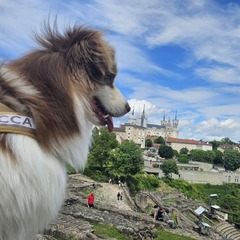Rocca_Lyon 2ème