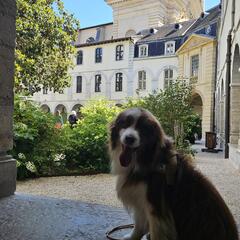 Rocca_Lyon 2ème