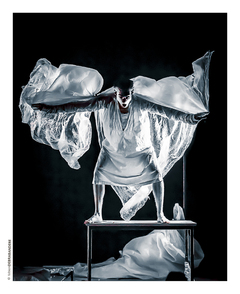 Copyright Fabien Debrabandere