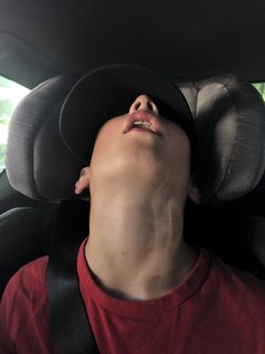 Copyright Célia Coëtte, Adagp Paris, 2026