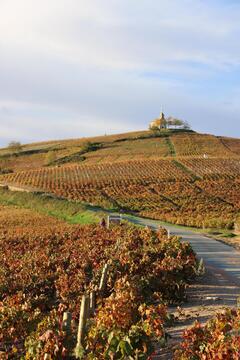 Copyright T.Blanchier - Beaujolais Tourisme