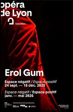 Copyright Erol Gum