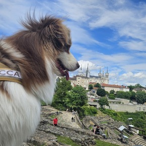 Copyright Rocca
