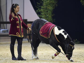 Equita Lyon Du 30 oct au 3 nov 2024